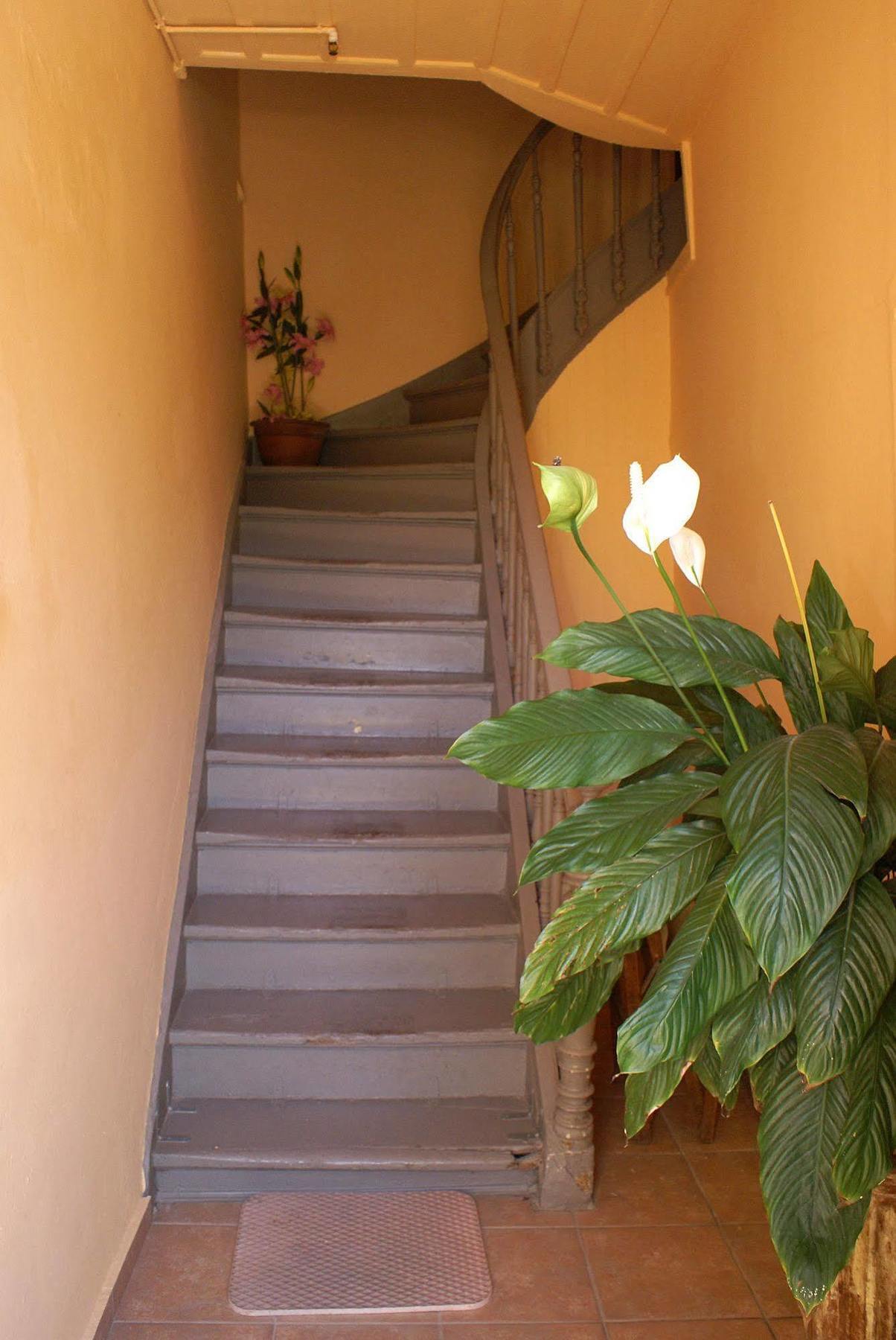 Kydonia Rooms Chania  Bagian luar foto